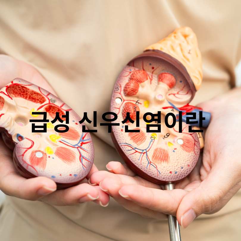 급성 신우신염 증상과 치료기간