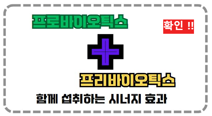 프로바이오틱스와 프리바이오틱스 함께 섭취하는 시너지 효과 알아보기