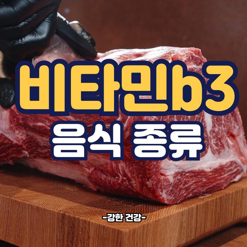 비타민b3 음식 종류