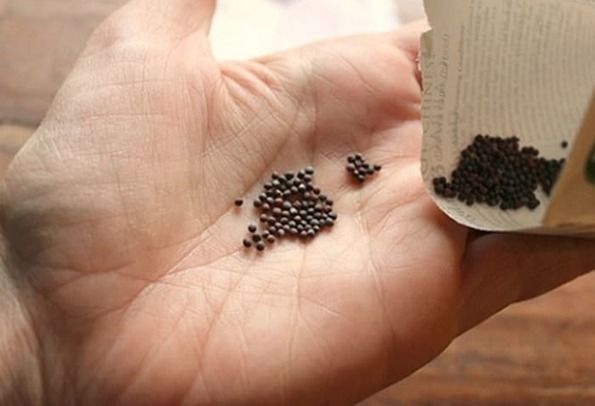 위 영양제 추천