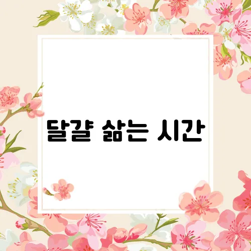 달걀 삶는 시간