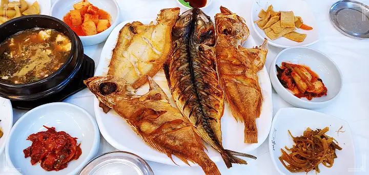 강원도 고성 식당 생선 구이 생선조림 모듬 생선찜 갈치조림 한국인의 밥상 믿고 떠나는 스타 심양홍 고향 맛집 추천