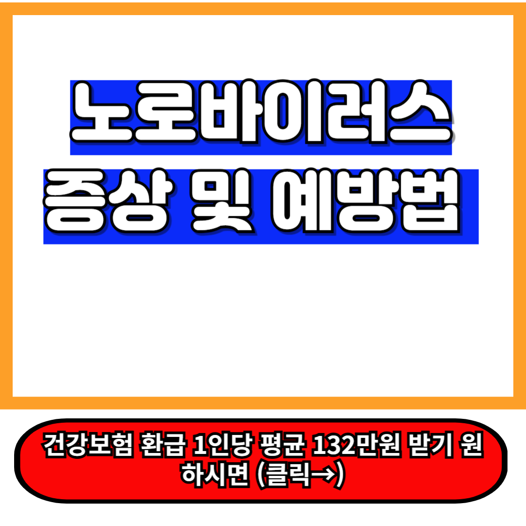 노로바이러스 증상 및 감염 경로 &ndash; 빠르게 퍼지는 원인과 예방법 1