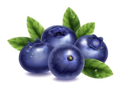 관절에 좋은 음식