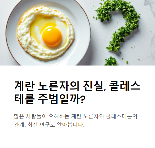 계란 노른자, 정말 콜레스테롤 주범일까?