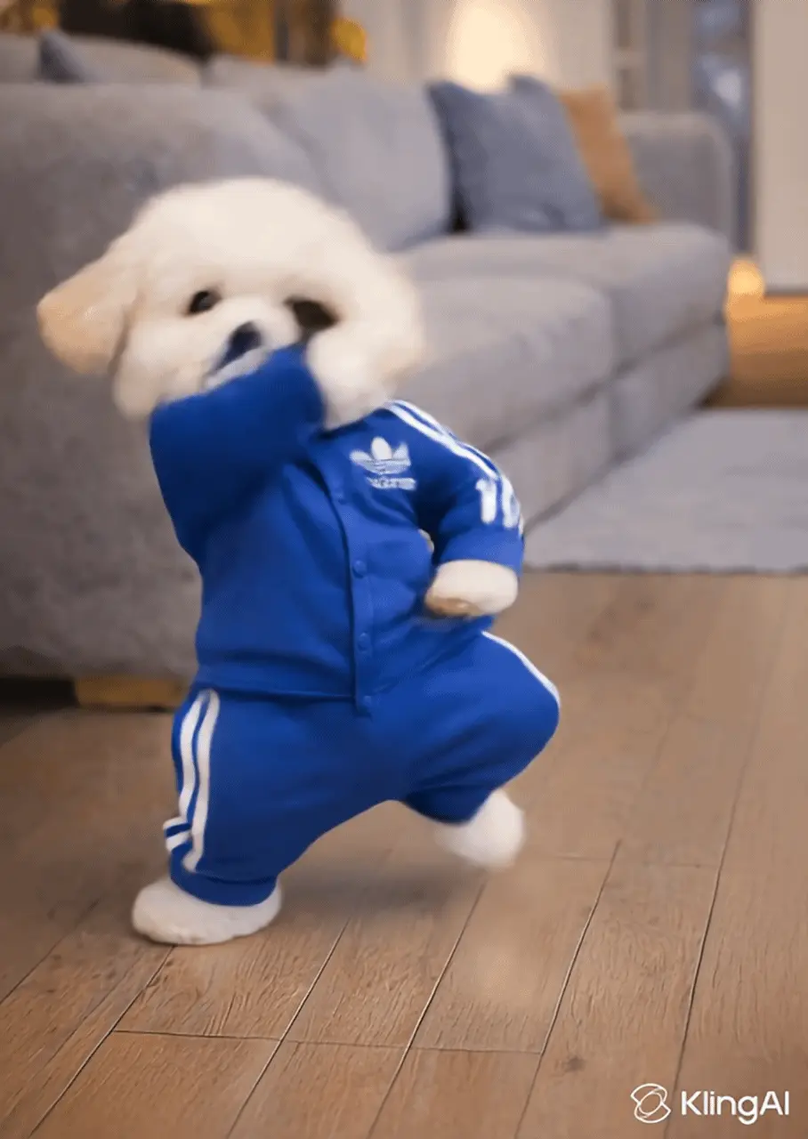 강아지-댄스-챌린지-밈