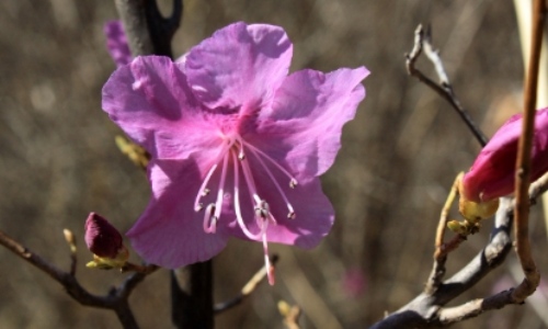 군포 철쭉축제 초대가수