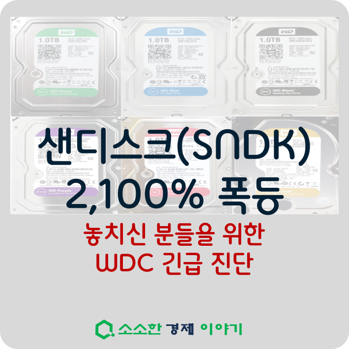 샌디스크 주가 2,100% 폭등, WDC는?