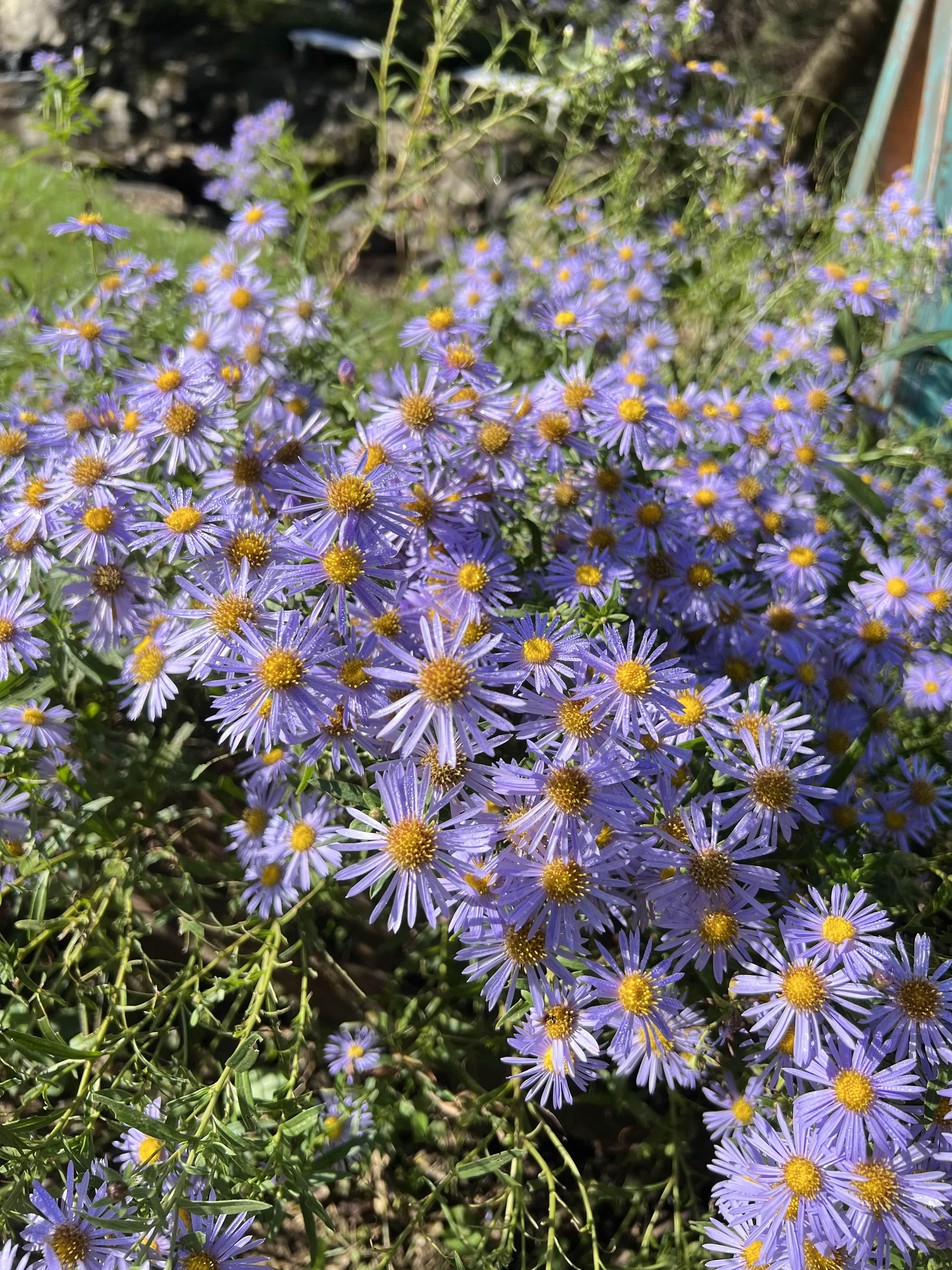 양평 가볼만한곳