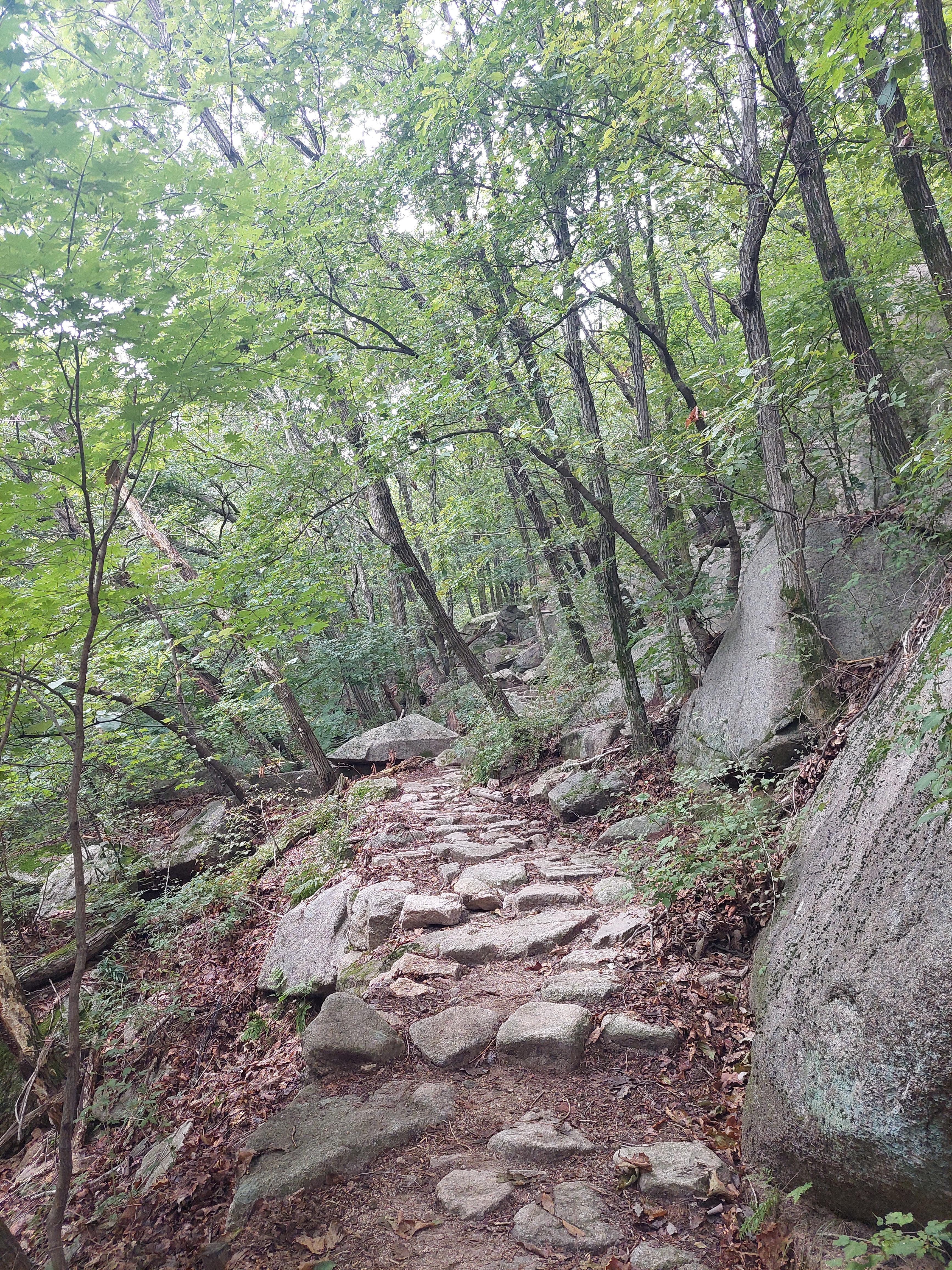 사패산