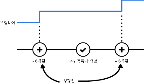 수직선 위에 나타낸 상령일과 보험나이의 예시