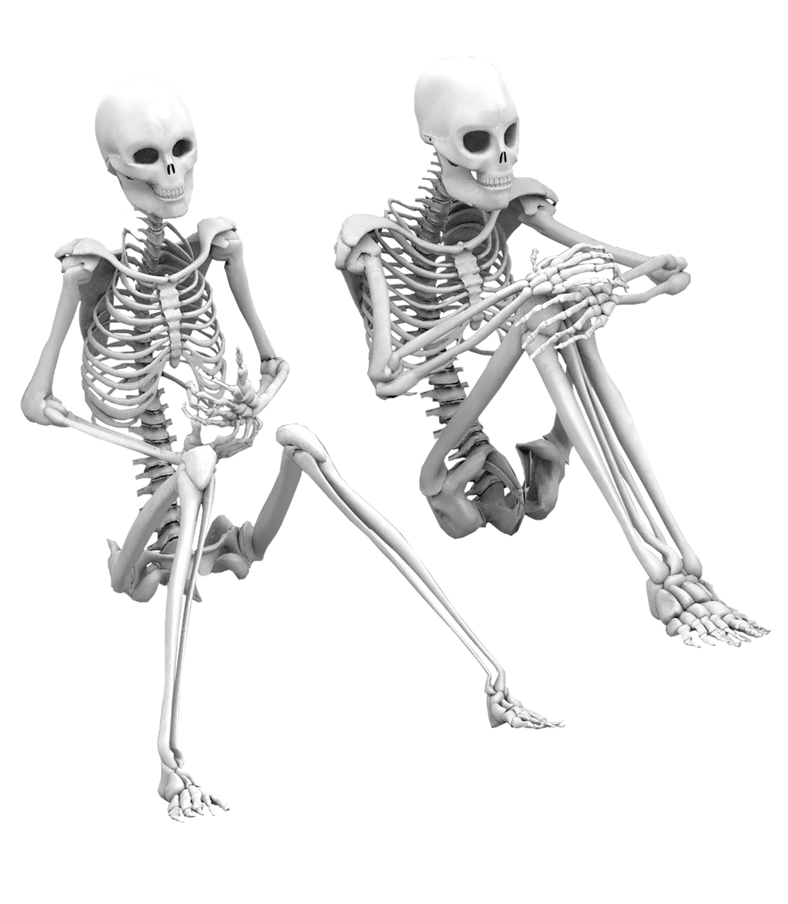 갱년기 뼈건강 MBP 효능, 부작용, 먹는법 알아보기