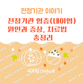 전정기관염(내이염) 원인과 증상, 치료법