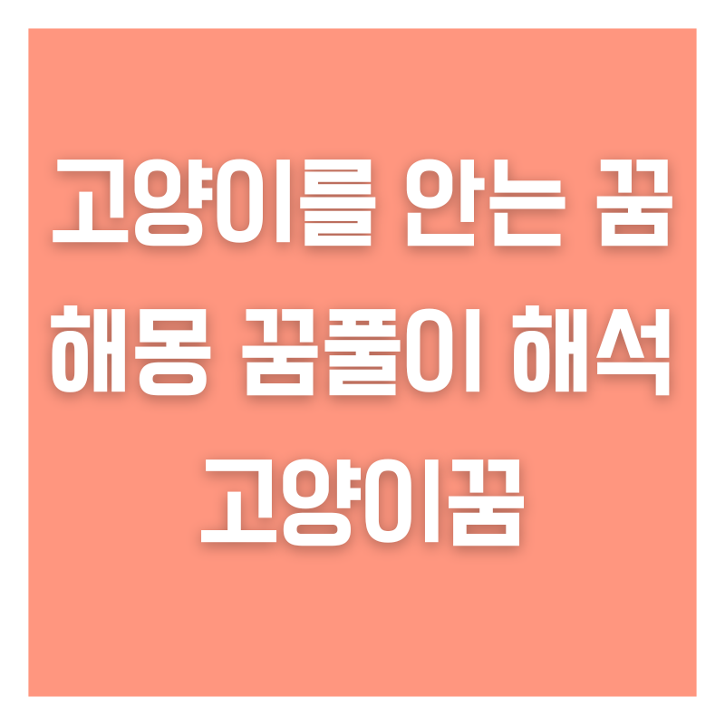 고양이를 안는 꿈 해몽 꿈풀이 해석 고양이꿈