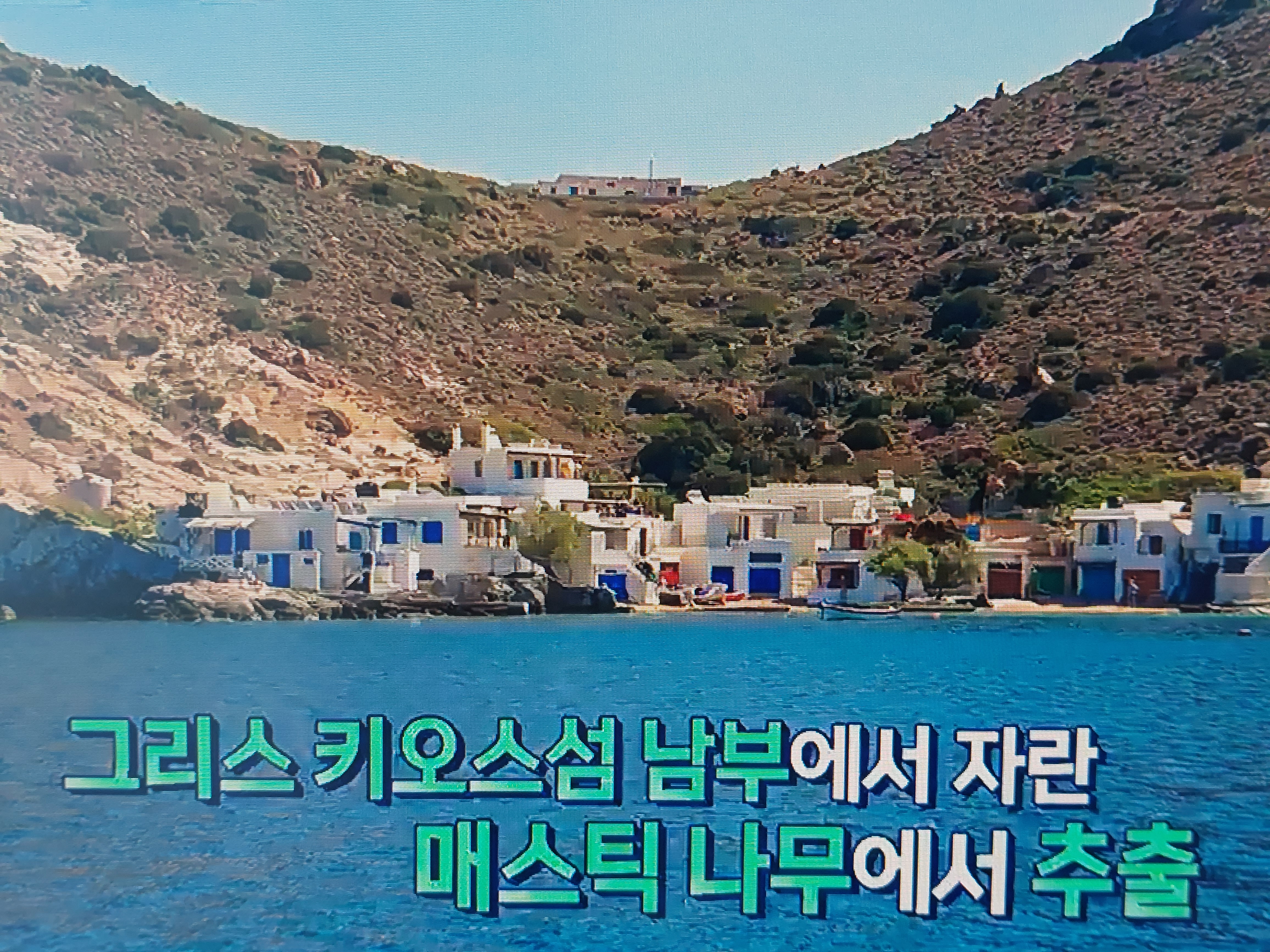 화이트 매스틱