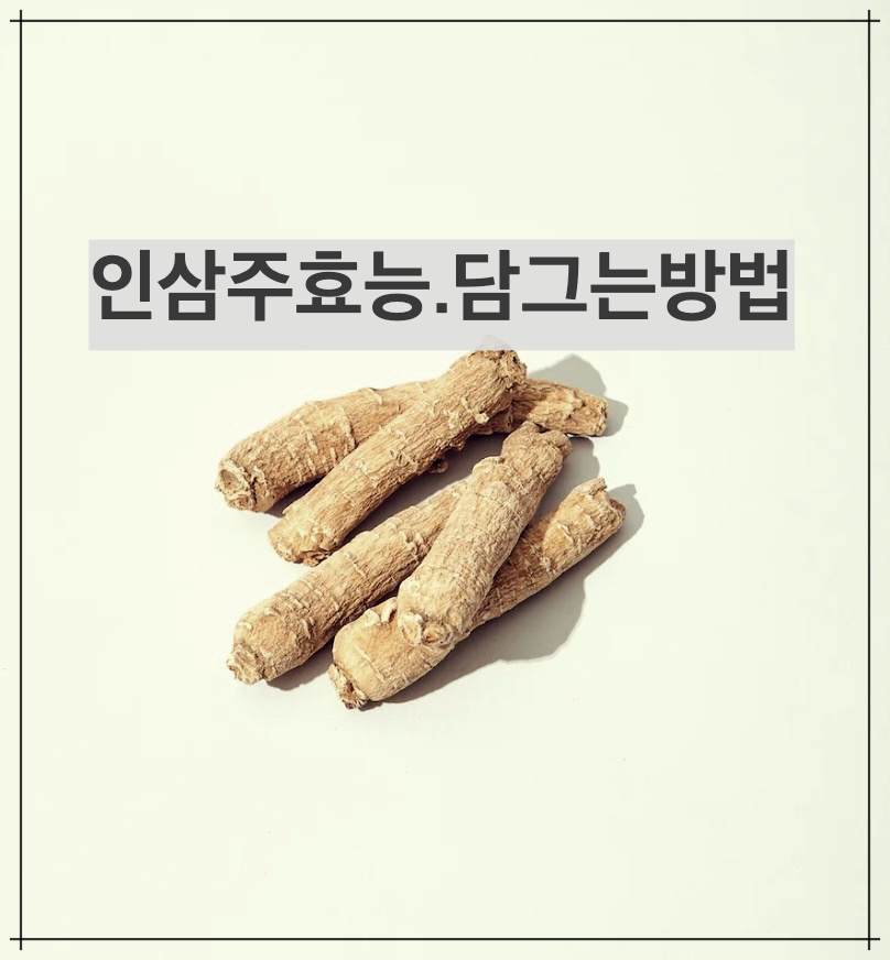 인삼주의 효능, 담그는 방법, 부작용 총정리