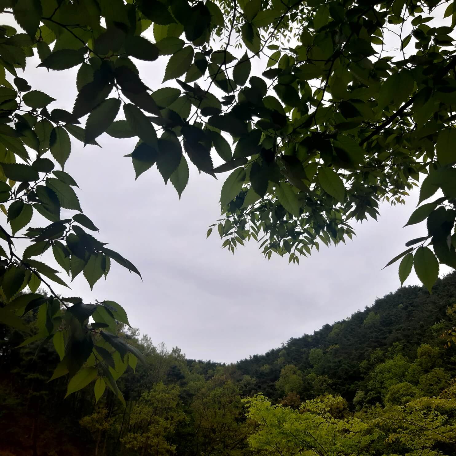 오늘하루고마웠던일3가지는