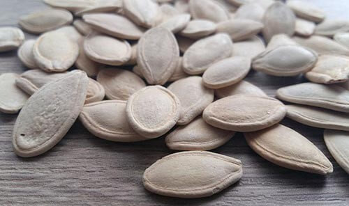 호박씨 효능