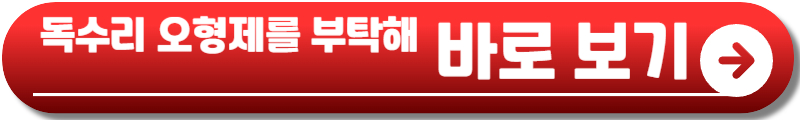 독수리 오형제를 부탁해 등장인물