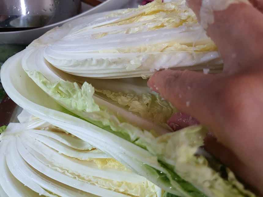 여름배추김치 담그기