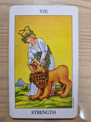 타로 8번 힘카드 그림설명 키워드 해석