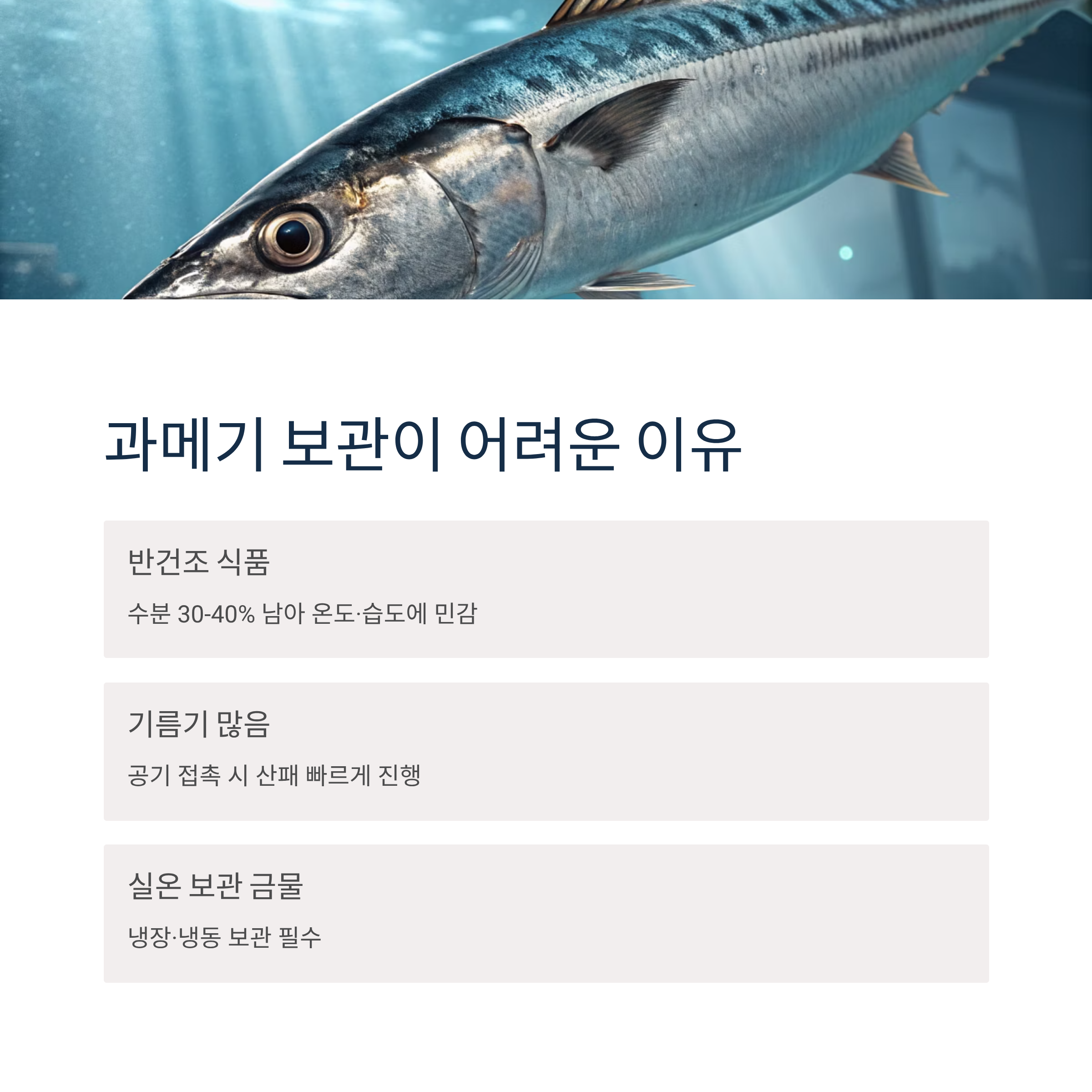과메기 보관방법 완벽가이드|냉장·냉동 보관부터 해동 꿀팁까지 신선하게 유지하는 법