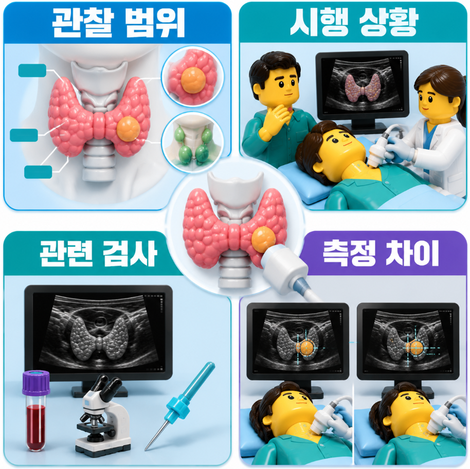갑상선초음파의 관찰 범위와 시행 상황, 관련 검사 및 결절 측정 차이 요약