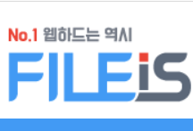 파일이즈