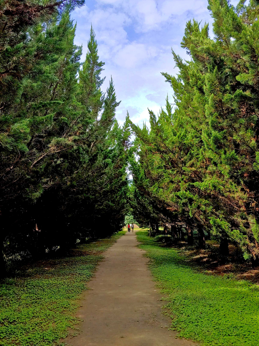 특색있고 아름다운 민간 정원 30선 추천 여행 - 30. 구례 천개의 향나무숲 정원