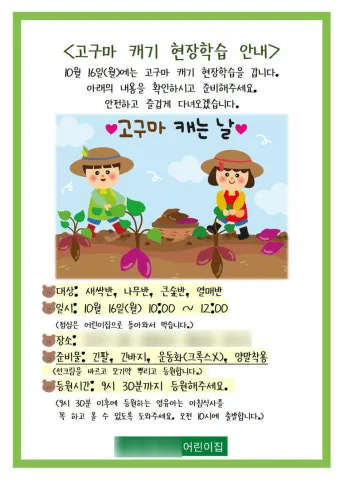 고구마캐는시기 딱 3가지 신호만 보세요 보관법까지 총정리로_6