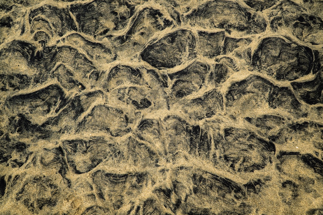 Neuropathy