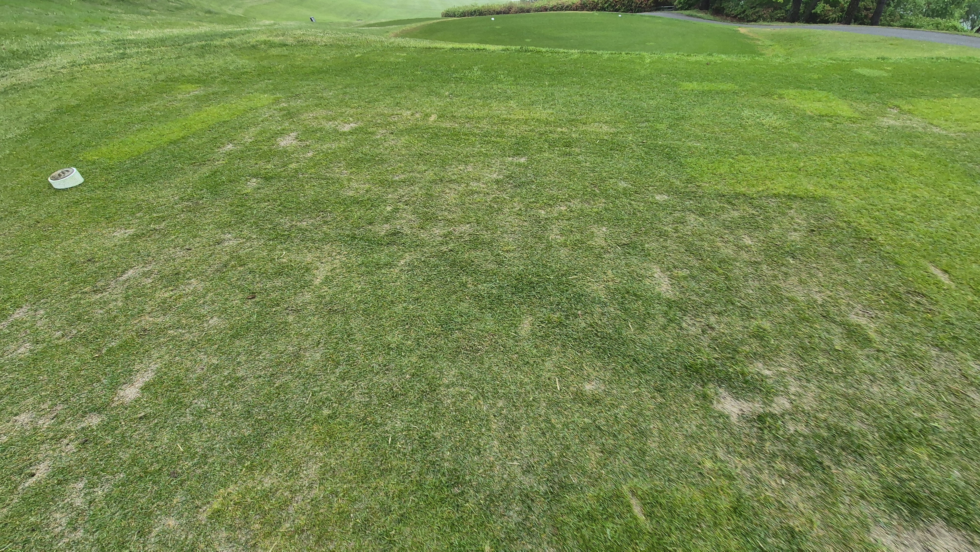 엘리시안 강촌cc 라운드 후기