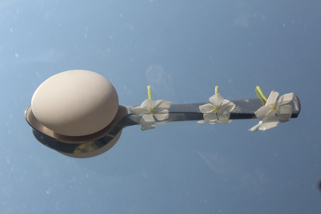 Egg.