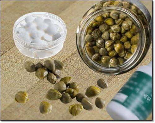 케르세틴보충제와 케이퍼