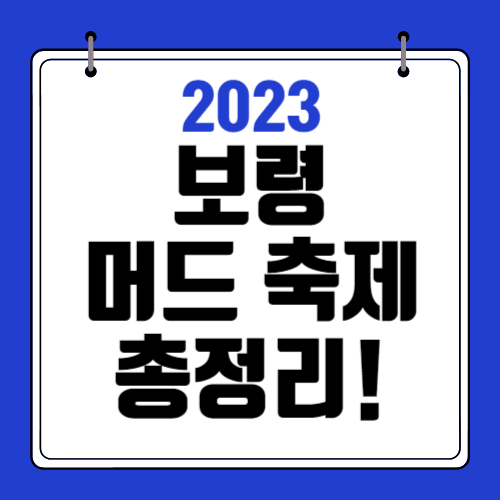 보령머드축제-총정리