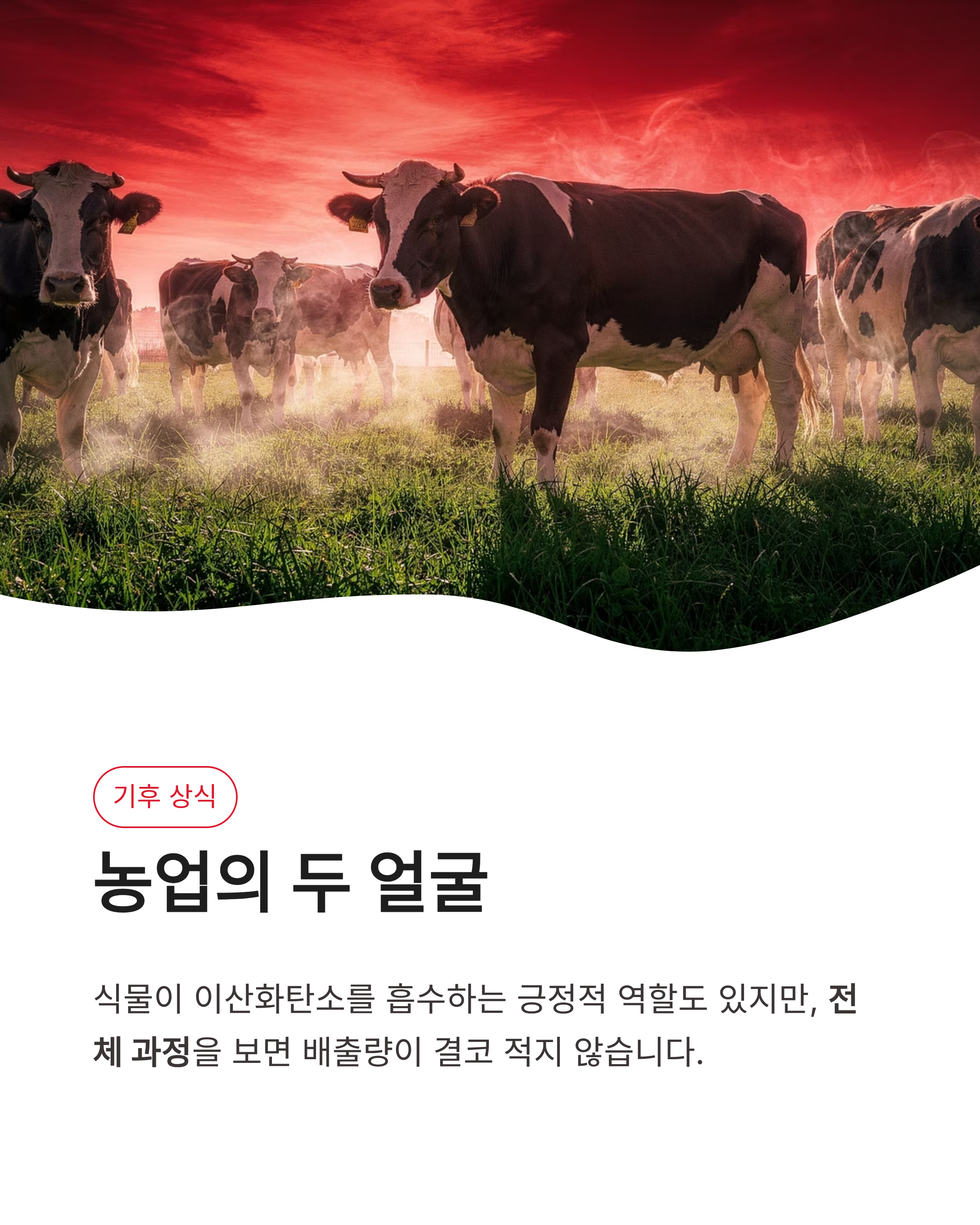 5월 2일 기후행동 퀴즈정답 기후동행 챌린지 농업 온실가스 문제 풀이!