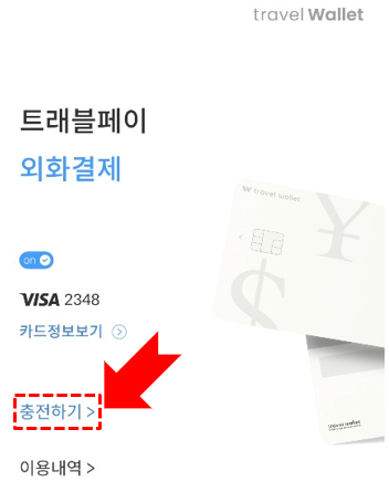 트래블월렛 ATM