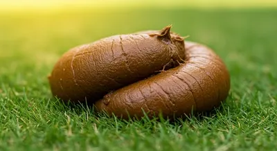 정상적인 변의 형태와 특징 💡