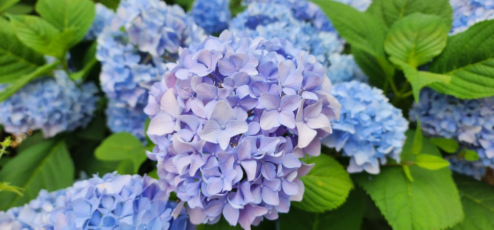 소촌아트팩토리