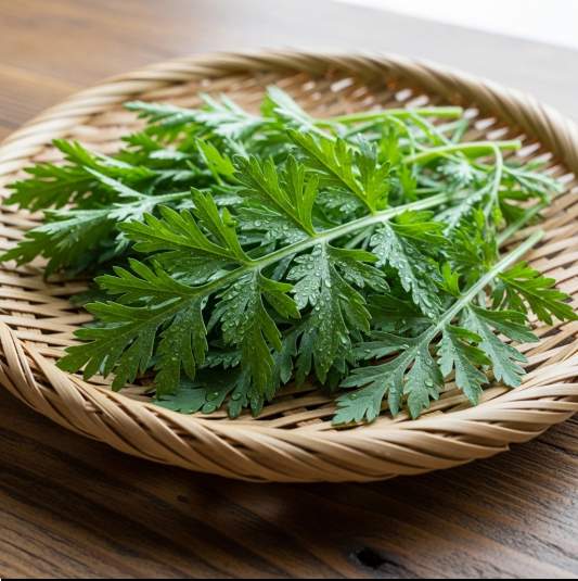 사철쑥 효능 및 성분, 피부 미용과 간 건강 활용법