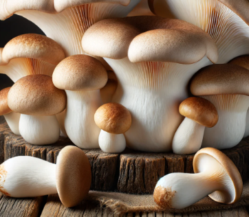 새송이버섯 특징 및 놀라운 효능