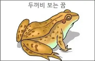 두꺼비 보는 꿈