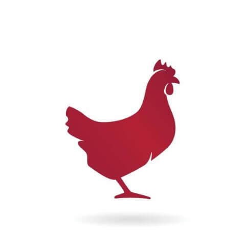 닭띠와잘맞는띠소띠