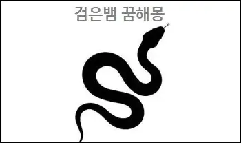검은뱀 꿈해몽