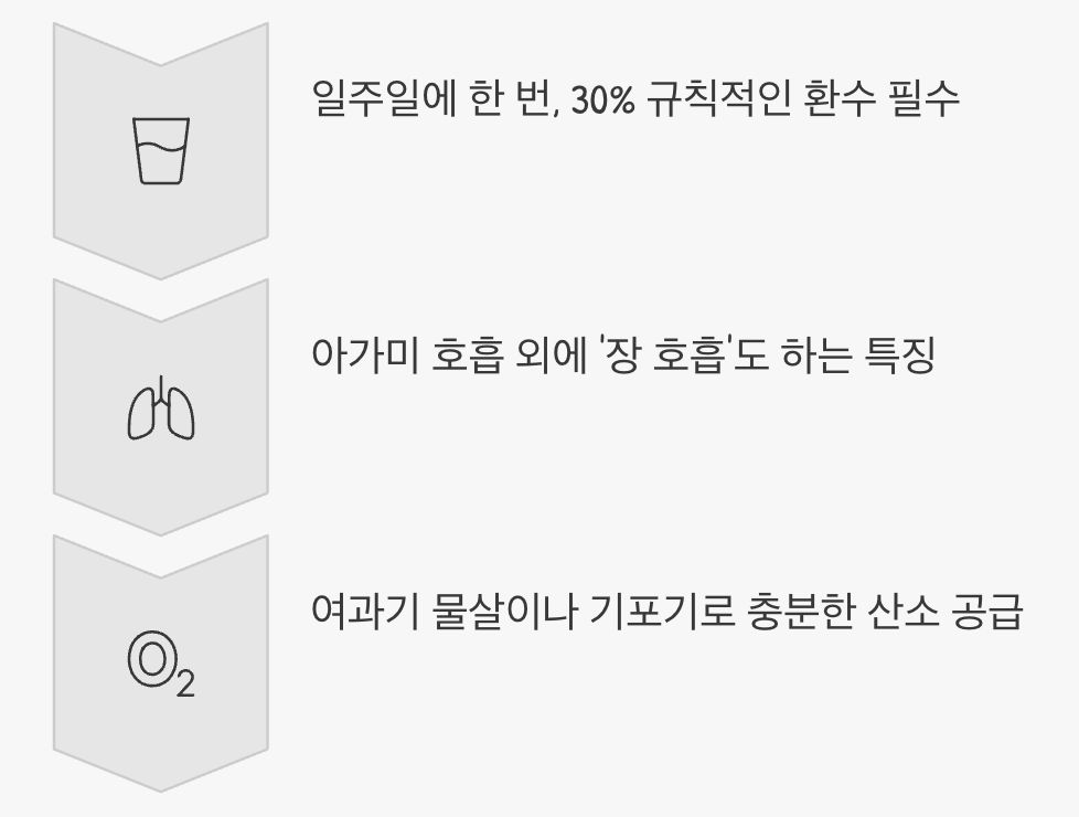 수질 관리와 '산소'의 중요성