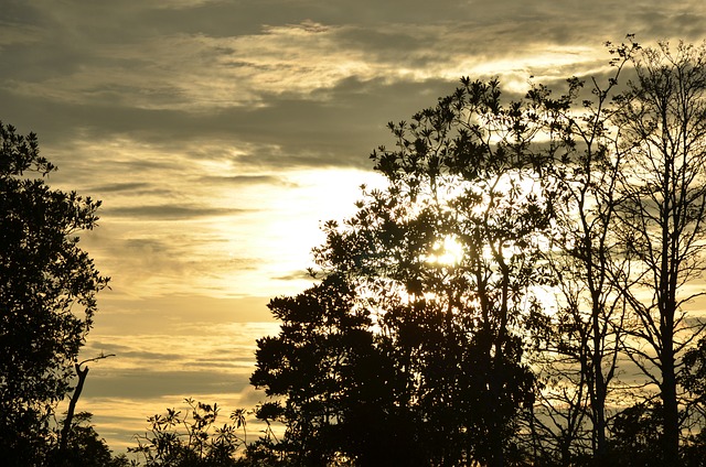 코타키나발루 여행