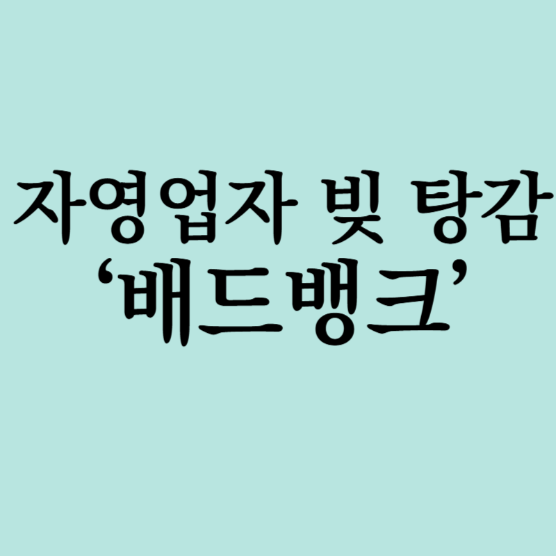 배드뱅크