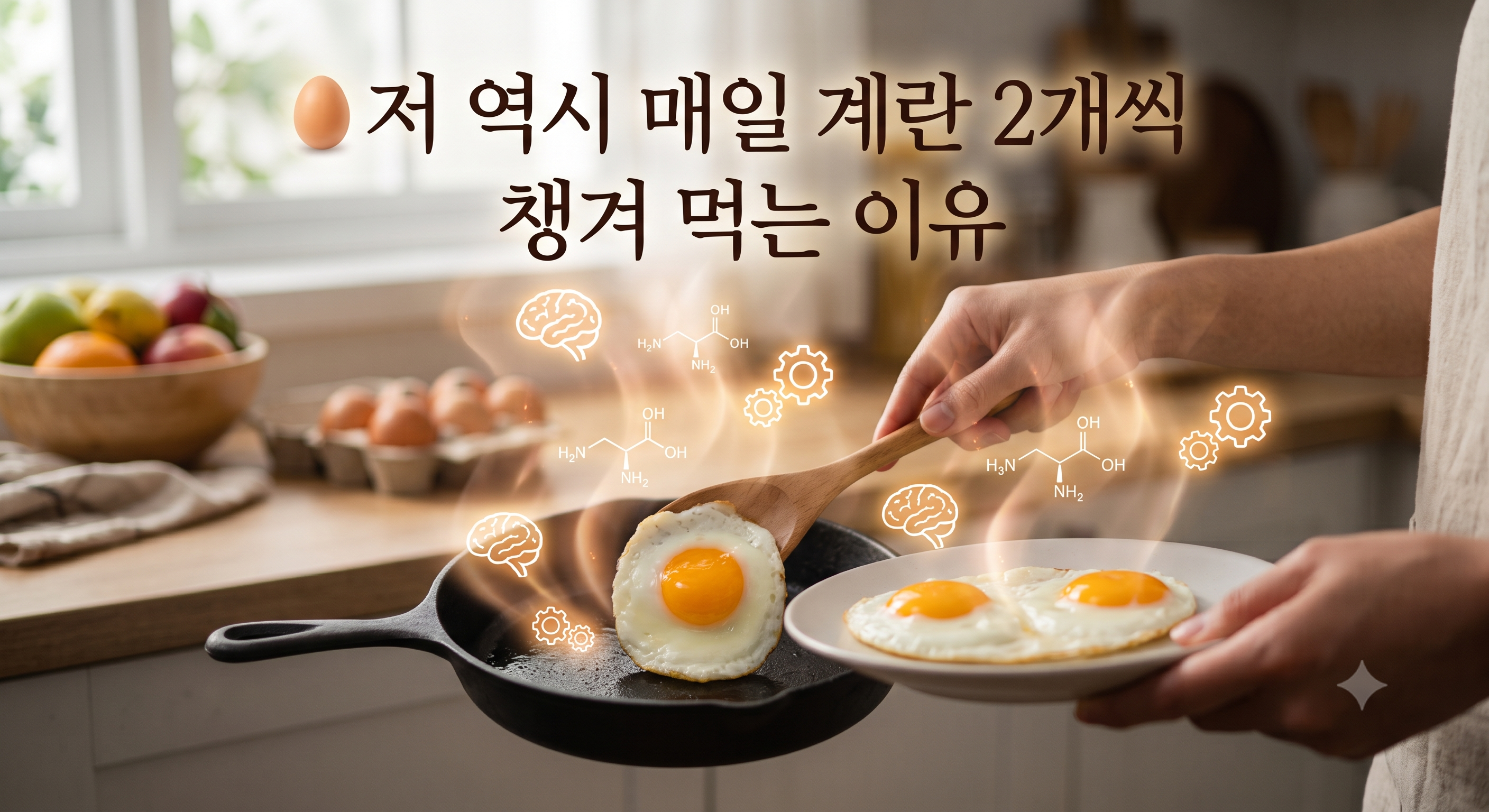 매일 계란 두개를 챙겨 먹는 이유