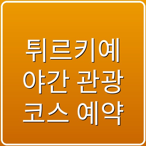 튀르키예 야간 관광 코스 예약 섬네일