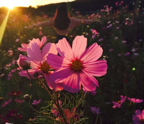 전국 9월 축제 행사 일정